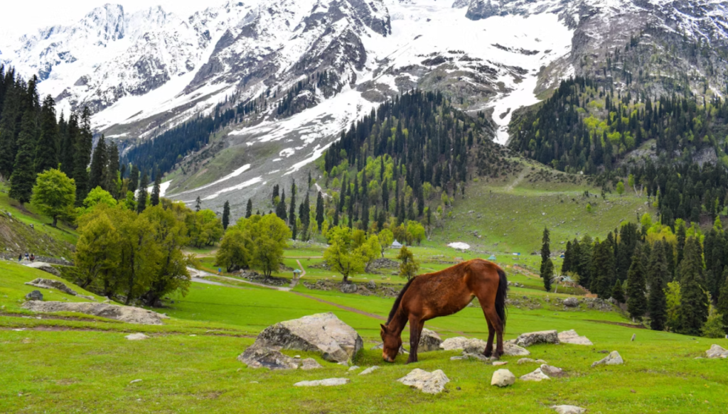Kashmir Tour Package From Pune