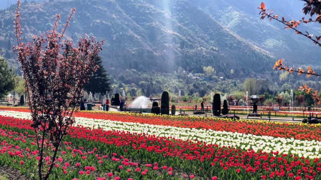 Kashmir Tour Package From Ahmedabad