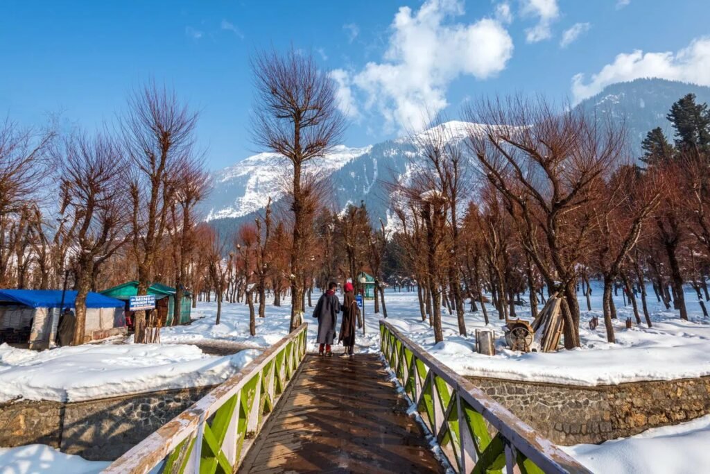 Kashmir Tour Package From Ratlam (Madhya Pradesh)