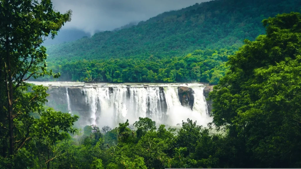 Kerala Magic Tour