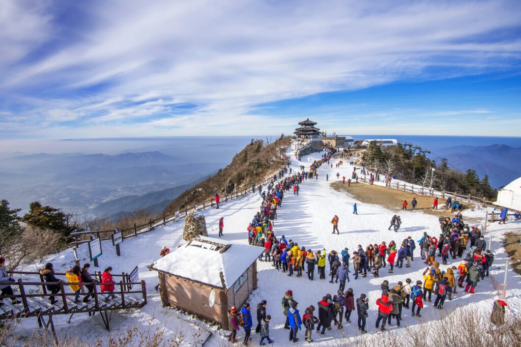 Shimla Kullu Manali Tour Package From Indore